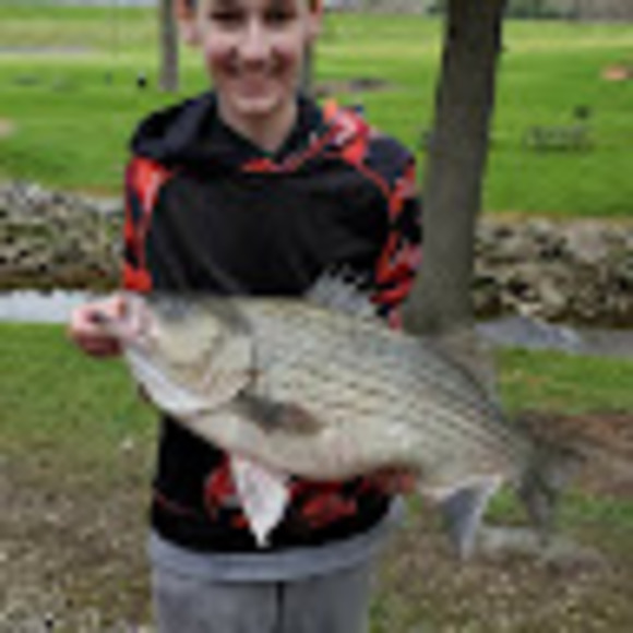 masonfisher678